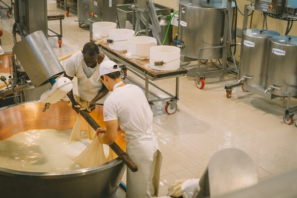 Comment participer à un atelier de fabrication de fromage en Suisse?