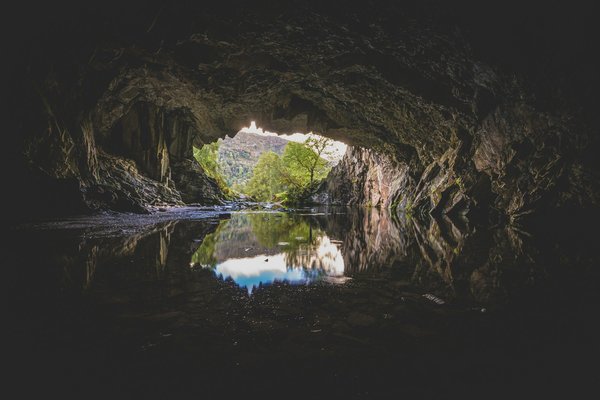 Comment organiser une visite des grottes de Waitomo en Nouvelle-Zélande?
